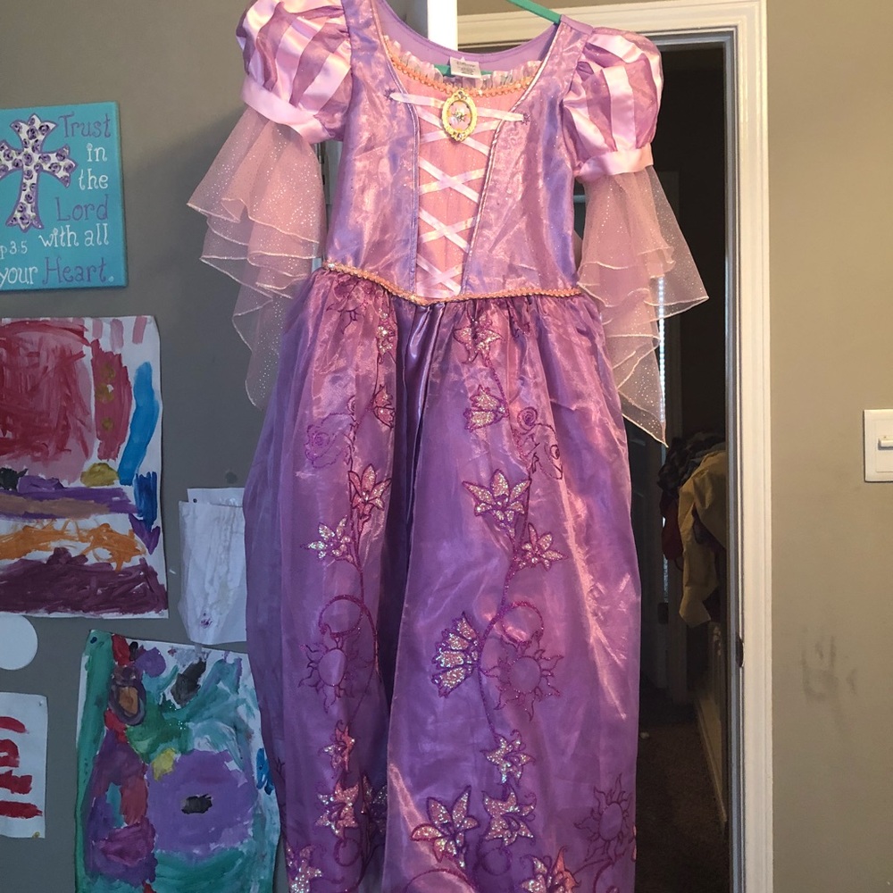 Disney princess dress/ costume